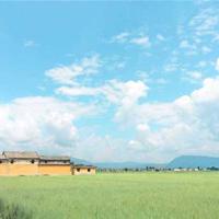 因为爱你我选择放手的伤感心酸语录说说精选