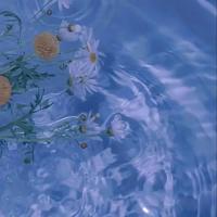 我在等，等你回来