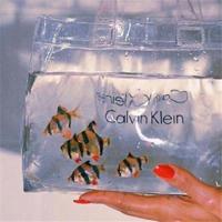 描写春雨的优美文章摘抄