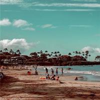 唯美花卉意境图片_唯美花卉的芳香