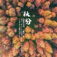 夜半歌声之月光下的白色身影