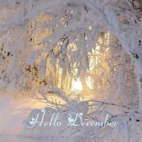 秋意微凉,暖在心头