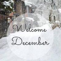 [美] 凯特·沃【狗知道答案】- 工作犬背后的科学和奇迹