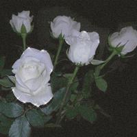 一步很短,一生很长;一步近在脚下,一生漫远