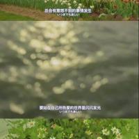 骨器店之骨玩具车
