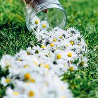 听到怀孕 女人怀孕后的N种反应