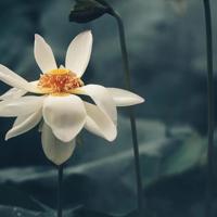 情人节来了你在哪里