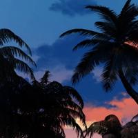 我不知道年少轻狂