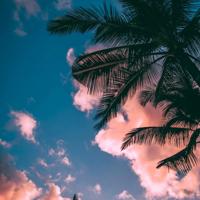 我那耳聪目明的母亲渐渐老去