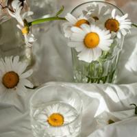 谁的青春没有风吹过