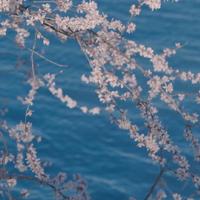 执子之手,与他“吵”到老