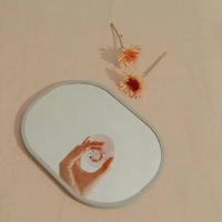 可是我不愿陪你做一只蘑菇