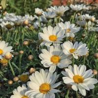 红烛帐暖被翻红浪 对着镜子双腿张开 揉核h