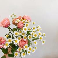 励志正能量早安语录