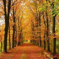 开心幽默小段子3个