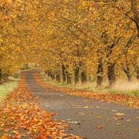 情思煮墨,润了谁