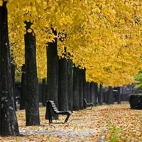 爱过，就是一生一世。