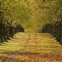 高昂着头，低调做人