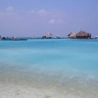 感人爱情：半个饺子