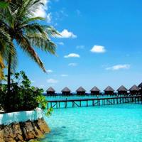 抒情散文的文体特点是