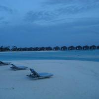 唯美雪景意境图片_感受雪景的意境美