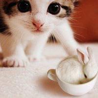 珍藏，飘零的2013