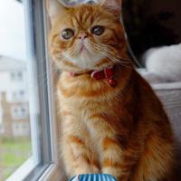 《北漂爱情故事》直击都市青年爱情痛点