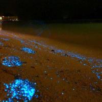 鬼救人之夜间千万不要闯红灯