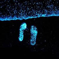 超励志的晚安心语加图片