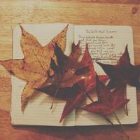 时光流逝，我们依然相识