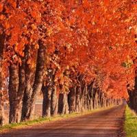 365个职业灵异故事:维修工