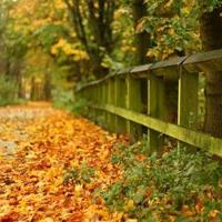 心向佛,便有了佛 有了佛,便能与他对话