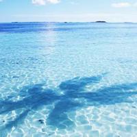 天路阙（外一首）