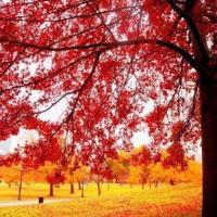 别等错过,再抱紧她