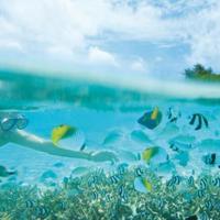 走过冬季，走出思念的心