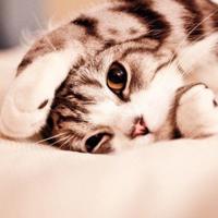 因为爱你我选择放手的伤感心酸语录说说精选