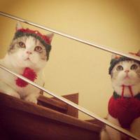 人生感悟:幸福来自于平衡