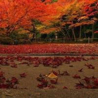 人生应该避免的25个遗憾