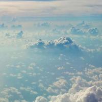 君伴冷月我伴孤灯