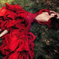 父亲肩上的世界