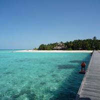 说真话不需要理由，说谎言才需要理由。