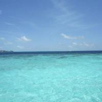 十字街口的等候