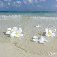 死而复生的母亲