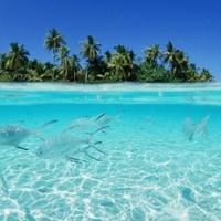 人生可以失败，但必须败得漂亮