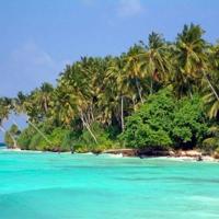 向来情深 奈何缘浅