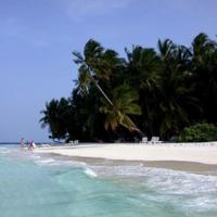 别让过去时光告诉你（亲情篇）