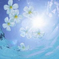 我不孕,婆婆帮助小三制造机会