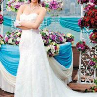 职场励志变情感故事《浮沉》改编粉丝难接受