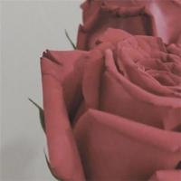 爱是一生的修行