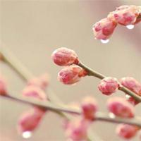 电影《小时代》经典台词大全，小时代经典对白